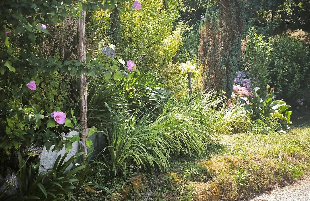 Les Treilles de Salies - Spa et sauna intérieur-1