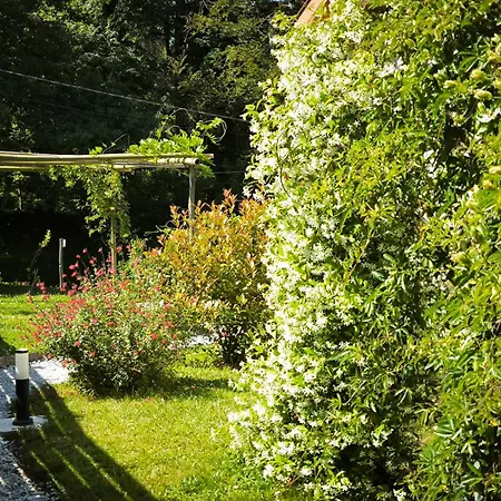 Les Treilles de Salies - Spa et sauna intérieur-3